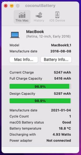 P: MacBook Retina 12